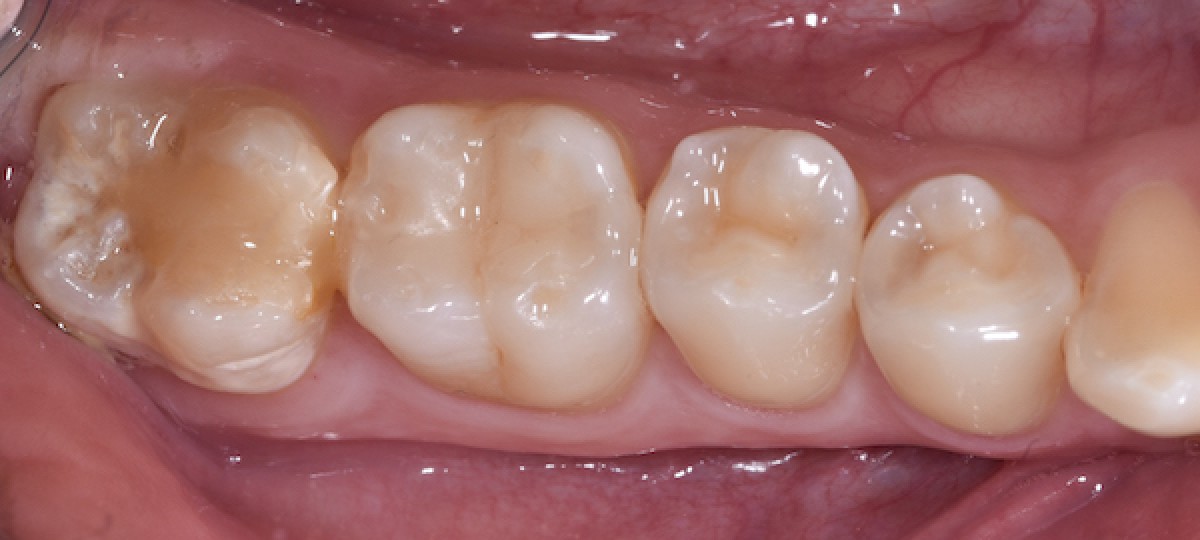 <p>Figure 1</p>