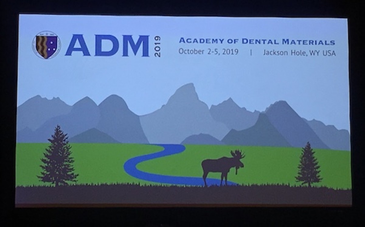 ADM 2019, Jackson Hole (WY, USA)