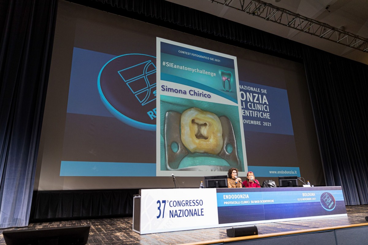 Dr. Chirico won the SIE Anatomy Challenge award in 2021.